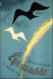 Poster do filme A Bird of Heaven