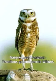 Naturwunder Pantanal - Brasiliens geheimnisvolle Wildnis movie poster