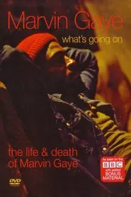 Poster do filme What's Going On: The Life and Death of Marvin Gaye