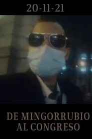 De Mingorrubio al Congreso movie poster