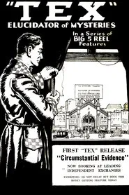 Poster do filme Detective Tex: Circumstantial Evidence
