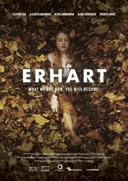 Poster do filme Erhart