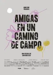 Poster do filme Friends on a Country Road
