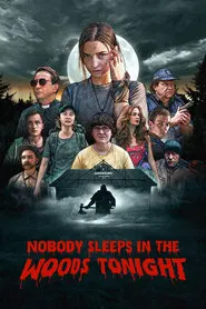 Nobody Sleeps in the Woods Tonight movie poster