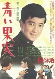 Poster do filme Seishun zenki: Aoi kajitsu
