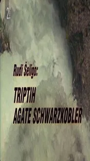 Triptych of Agata Schwarzkobler movie poster