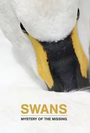Poster do filme Swans: Mystery of the Missing