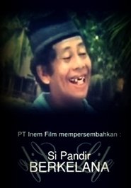 Si Pandir Berkelana movie poster