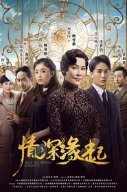 Half a Lifelong Romance tv show poster