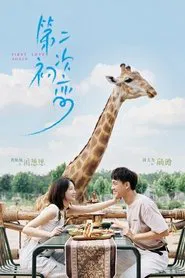 First Love Again tv show poster