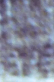 Gioconda/Film movie poster