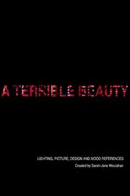 Poster do filme A Terrible Beauty