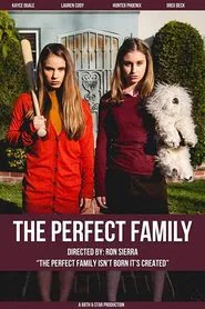 The Perfect Family movie poster