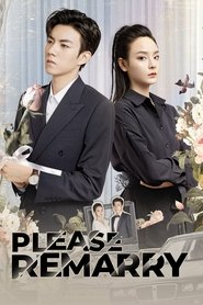 Please Remarry tv show poster