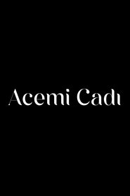 Acemi Cadı tv show poster