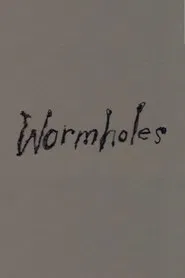 Wormholes movie poster