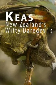 Keas - New Zealand's Witty Daredevils movie poster