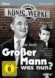 Großer Mann, was nun? tv show poster