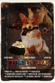 Palla di pelo movie poster