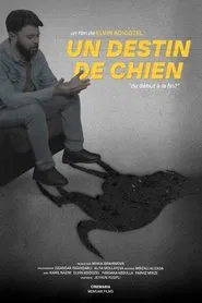 Bir İtin Taleyi movie poster