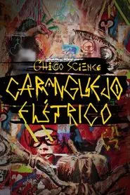 Chico Science: Um Caranguejo Elétrico movie poster