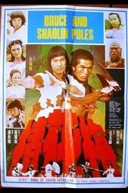 Secret of the Shaolin Poles movie poster