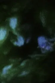 Field of Memories: Prelude movie poster