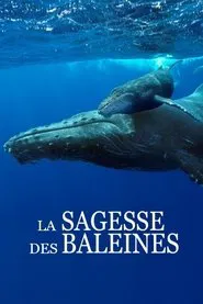 Das Wesen der Wale movie poster