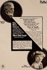 The Fires of Youth movie poster