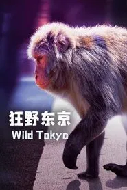 Wild Tokyo movie poster