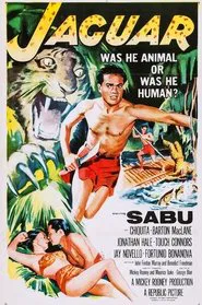 Poster do filme Jaguar