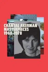 A New Way of Seeing: B. Ruby Rich on Chantal Akerman movie poster