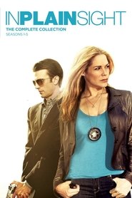 In Plain Sight tv show poster