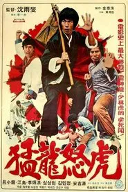 Bruce and Dragon Fist movie poster