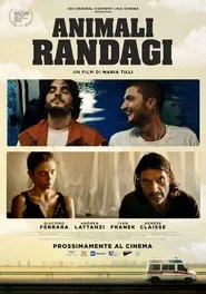 Animali randagi movie poster