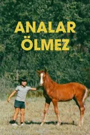 Poster do filme Analar Ölmez