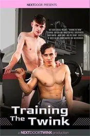 Training the Twink movie poster
