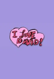 I Love David! tv show poster