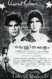 Poster do filme Vellinakshatram