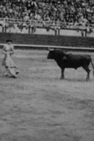 Corrida profesional Plaza Belmonte movie poster