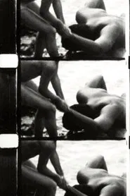 Poster do filme Perforce