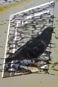 não tenho dormido muito mas continuo sonhando a cada piscada movie poster