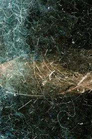 Dust Poetry movie poster