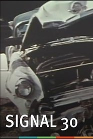 Poster do filme Signal 30