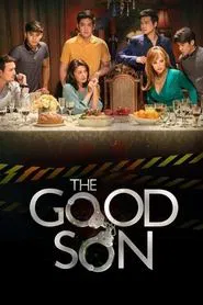 The Good Son tv show poster