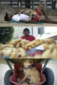 Birdie movie poster