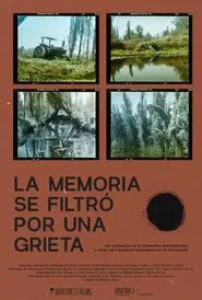 La memoria se filtró por una grieta movie poster