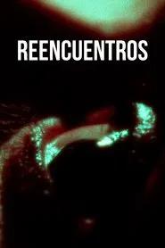 Reencuentros movie poster