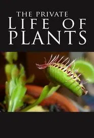 The Private Life of Plants tv show poster