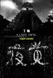 Poster do filme Night Awake